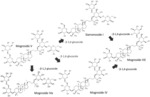 Mogroside Biocatalysis Methods