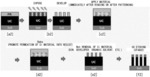 COMPOSITION FOR RESIST PATTERN METALLIZATION PROCESS