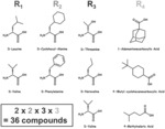 SELECTIVE SMALL MOLECULE PEPTIDOMIMETIC MELANOCORTIN LIGANDS