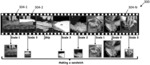 DYNAMIC MULTI-RESOLUTION PROCESSING FOR VIDEO CLASSIFICATION