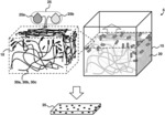 BIOFABRICATION OF ADVANCED FUNCTIONAL MATERIALS USING BACTERIAL CELLULOSE SCAFFOLDS