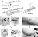 STRETCHABLE, REHEALABLE, RECYCLABLE AND RECONFIGURABLE INTEGRATED STRAIN SENSOR