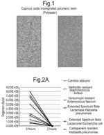 Antimicrobial Solid Surfaces and Treatments and Processes for Preparing the Same