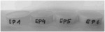 METAL-SILOXANE-SILANOL(ATE) COMPOUND AS GEL CATALYST