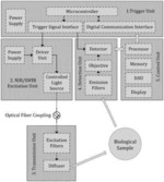 SYSTEM AND METHOD FOR REAL-TIME MULTICOLOR SHORTWAVE INFRARED FLUORESCENCE IMAGING