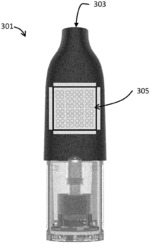 FLAVOR DELIVERY ARTICLE FOR A SMOKING SUBSTITUTE APPARATUS