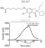 SWELL1-LRRC8 COMPLEX MODULATORS