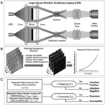 RAPID ANTIMICROBIAL SUSCEPTIBILITY TESTING BY VIDEO-BASED OBJECT SCATTERING INTENSITY DETECTION