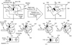 CONTINUUM ROBOT APPARATUS, METHOD, AND MEDIUM