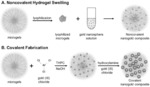 Antimicrobial platelet-like particles