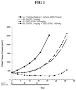 COMBINATION THERAPY OF A TYPE II ANTI-CD20 ANTIBODY WITH A SELECTIVE BCL-2 INHIBITOR