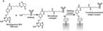 COVALENT ADAPTOR SYNNOTCH AND CHIMERIC ANTIGEN RECEPTORS (CARS) FOR PROGRAMMABLE ANTIGEN-TARGETING