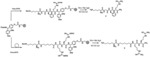 Process For Preparation Of Bioorganic Nylon Polymers And Their Use As Antibacterial Material