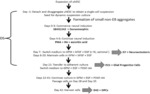 METHODS FOR DIFFERENTIATING PLURIPOTENT STEM CELLS IN DYNAMIC SUSPENSION CULTURE