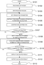 Radiation irradiation planning apparatus, clinical decision support apparatus and program