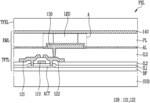 Display device incorporating self-assembled monolayer and method of manufacturing the same