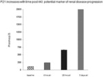 Methods of treating patients at risk for renal injury and renal failure