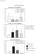 BIFIDOBACTERIUM LONGUM AND FUNCTIONAL GI DISORDERS