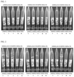 BIOCOMPATIBLE HYDROGEL COMPRISING HYALURONIC ACID AND POLYETHYLENE GLYCOL