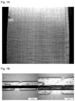 Translucent fibre composite materials comprising chemically modified polymers