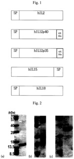 Method of diagnosing cancer and diagnosis kit using measurement of NK cell activity