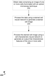 Processing cell images using neural networks