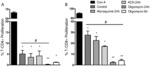 MESENCHYMAL STEM CELLS WITH ENHANCED THERAPEUTIC PROPERTIES