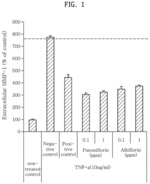 Composition for preventing or improving intrinsic aging comprising paeoniflorin or albiflorin