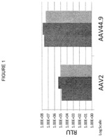 AAV with unique capsid protein VP1 and methods of using for treatment