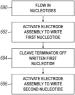 Flow cell with selective deposition or activation of nucleotides