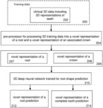 Automated 3D root shape prediction using deep learning methods