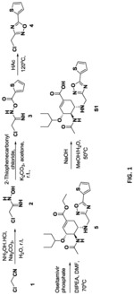 N-SUBSTITUTED OSELTAMIVIR DERIVATIVES WITH ANTIMICROBIAL ACTIVITY