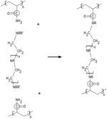 Crosslinking of swellable polymer with PEI