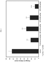 NON-HORMONAL STEROID MODULATORS OF NF-KAPPA BETA FOR TREATMENT OF DISEASE