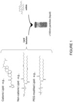 TREATMENT OF CYSTIC FIBROSIS BY DELIVERY OF NEBULIZED mRNA ENCODING CFTR