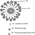 Protection of Polyunsaturated Fatty Acids from Ruminal Degradation