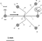 LENGTH-SELECTIVE DIELECTROPHORETIC MANIPULATION OF SINGLE-WALLED CARBON NANOTUBES