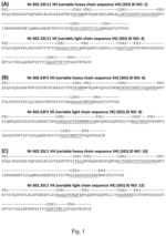 HUMAN-DERIVED ANTI-HUNTINGTIN (HTT) ANTIBODIES AND USES THEREOF