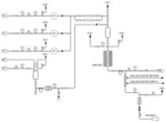 Processes for conversion of biologically derived mevalonic acid