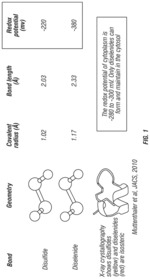 Production of seleno-biologics in genomically recoded organisms