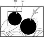 Systems and methods for predicting crop size and yield