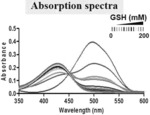 Method for measuring quality of therapeutic cell through real-time glutathione measurement