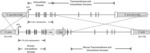 NON-HUMAN ANIMALS COMPRISING A HUMANIZED TRKB LOCUS