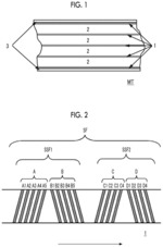 Magnetic tape having characterized magnetic layer, magnetic tape cartridge, and magnetic tape apparatus