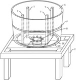 Rotating Planter