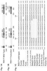 RSV F PROTEIN COMPOSITIONS AND METHODS FOR MAKING SAME