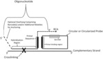 CONTROLLED CROSSLINKING OF BIOMOLECUES IN SITU