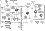 SYSTEMS AND METHODS OF AUTOMATICALLY PROCESSING ELECTRONIC IMAGES ACROSS REGIONS