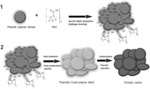 Water soluble PAA-based polymer blends as binders for Si dominant anodes