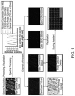 IMAGE ACQUISITION METHODS FOR SIMULTANEOUSLY DETECTING GENETIC REARRANGEMENT AND NUCLEAR MORPHOLOGY